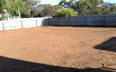 Backyard-Leveling-Bobcat-Service