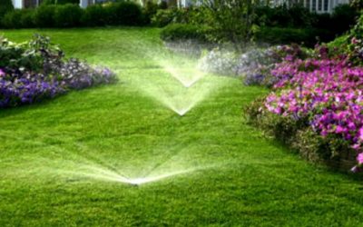 Irrigation Installation & Repairs