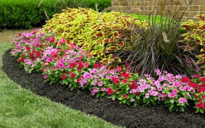 Landscaping - Free Estimate