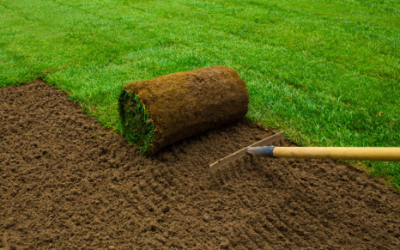 Sod Installation - Free Estimates