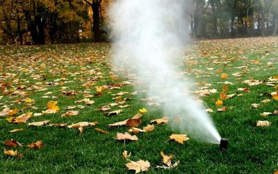 Irrigation Installation & Repairs
