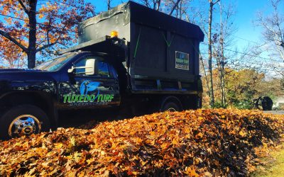 Leaf Removal - Free Estimates